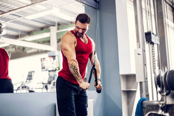 Guapo musculoso fitness culturista haciendo ejercicio de peso pesado para tríceps —  Fotos de Stock