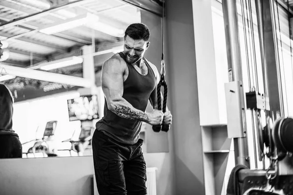 Yakışıklı kaslı Fitness vücut geliştirmeci Triceps için ağır egzersiz yaparak