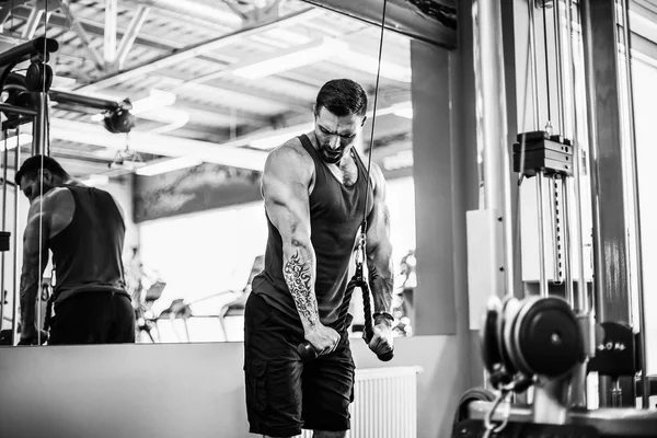 Yakışıklı kaslı Fitness vücut geliştirmeci Triceps için ağır egzersiz yaparak
