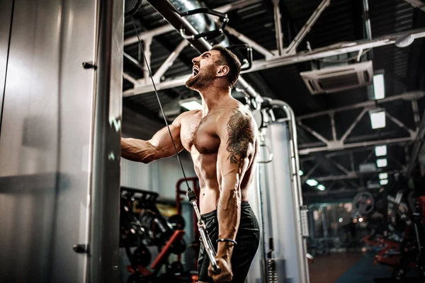 Muscular bonito halterofilista fazendo exercício de peso pesado para tríceps — Fotografia de Stock