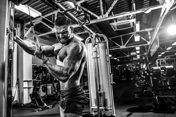 Yakışıklı kaslı Fitness vücut geliştirmeci Triceps için ağır egzersiz yaparak — Stok fotoğraf