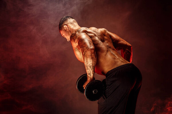 Muscular man with dumbbells doing exercises. Photo of strong male with naked torso isolated on white background. Strength and motivation. Back view.