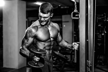 Pazı için egzersiz yaparak genç vücut geliştirmeci