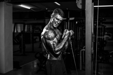 Pazı için egzersiz yaparak genç vücut geliştirmeci