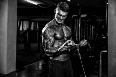 Pazı için egzersiz yaparak genç vücut geliştirmeci