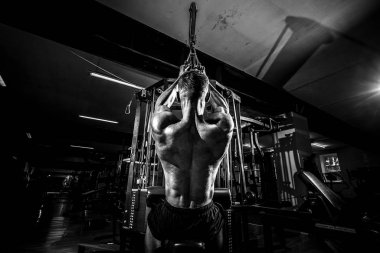 Güçlü Vücut Geliştirici Sırt Ağırlığı Egzersizi Yapıyor