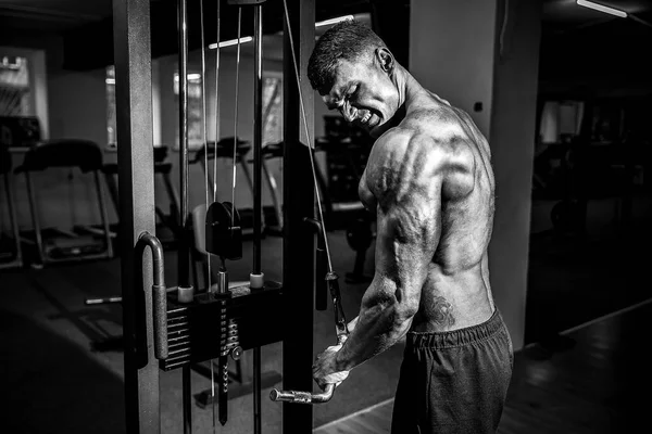 Νέοι Bodybuilder που κάνει άσκηση για τρικέφαλος μύς — Φωτογραφία Αρχείου