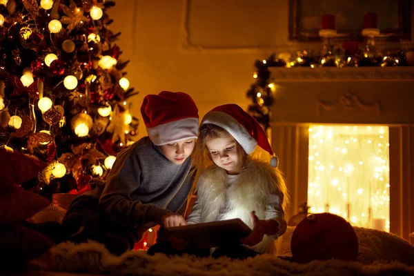 Enfants excités près de l'arbre de Noël — Photo