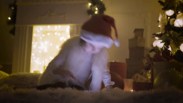 Girl with tablet near Christmas tree — Stock Video