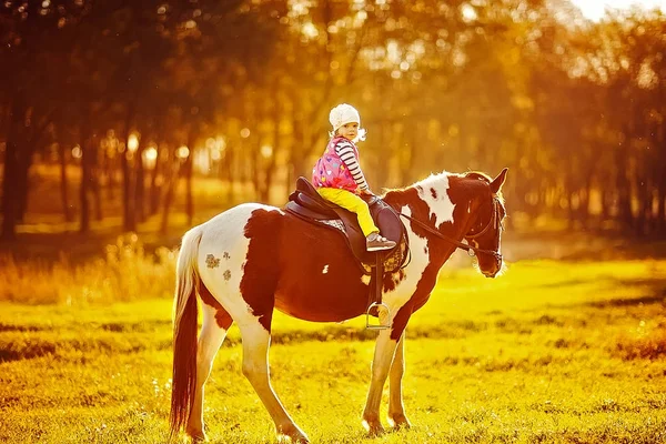Malá holčička, jízdy na koni — Stock fotografie