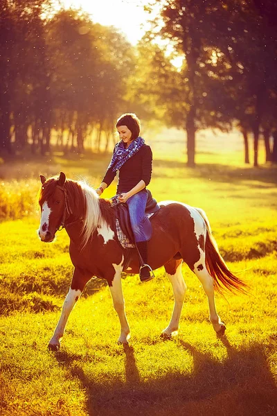 Hermosa chica montando un caballo en el campo. — Foto de Stock