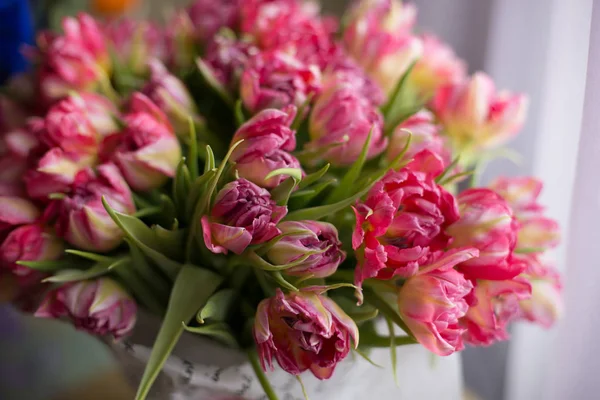 Bouquet of light pink tulips isolated on a light background. Holiday card.