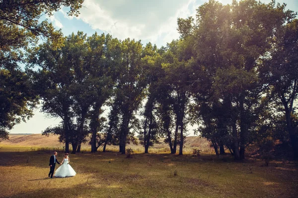 Весільна пара гуляє в лісі — стокове фото
