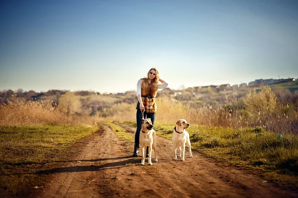 Девушка с собакой отдыхает на улице — стоковое фото