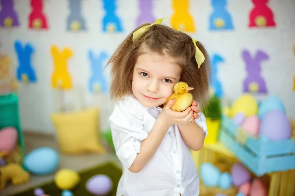 Чарівна маленька дівчинка з маленькими каченятами — стокове фото