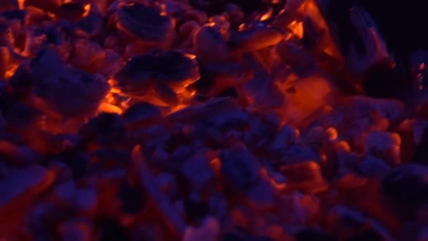 Wood burning in the grill — Stock Video