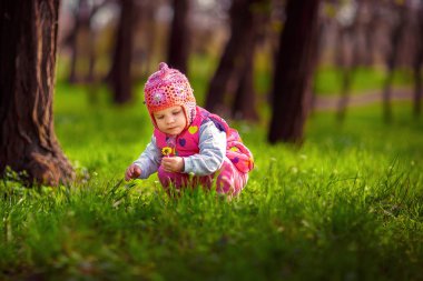 Küçük çocuk sokakta çiçek toplama