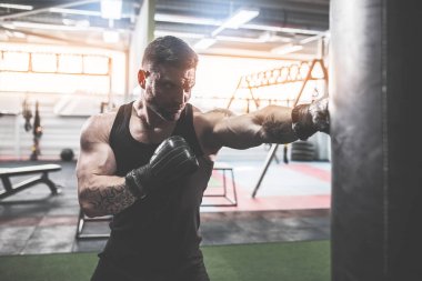 Koyu renk spor salonunda boksör eğitimi..