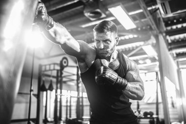 Koyu renk spor salonunda boksör eğitimi..