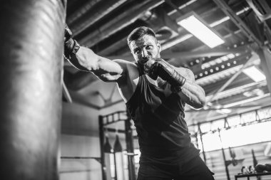 Koyu renk spor salonunda boksör eğitimi..