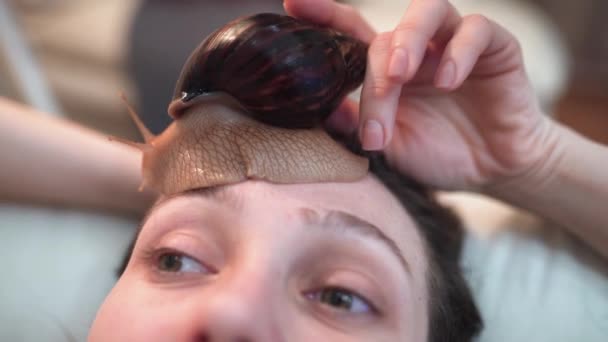 Молодая женщина проходит лечение с гигантскими улиток Achatina дома — стоковое видео