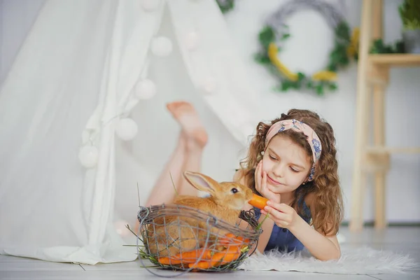 Μικρό χαριτωμένο κορίτσι ταΐζει καρότα αφράτο κατοικίδιο ζώο κουνέλι, φροντίδα και τη ζωή με τα ζώα. Χαρούμενη παιδική ηλικία — Φωτογραφία Αρχείου