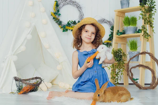 A kis aranyos lány répával eteti a bolyhos nyulat, gondozza és állatokkal él. Boldog gyermekkort! — Stock Fotó