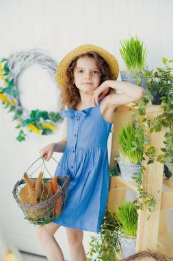 Mutlu küçük kız bir tavşanla oynuyor, gerçek tavşancığına sarılıyor ve bir hayvanla ilgilenmeyi öğreniyor.