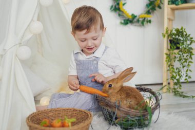 Mutlu gülen küçük çocuk bir tavşanla oynuyor, onu besliyor, gerçek bir tavşana sarılıyor ve bir hayvanla ilgilenmeyi öğreniyor.
