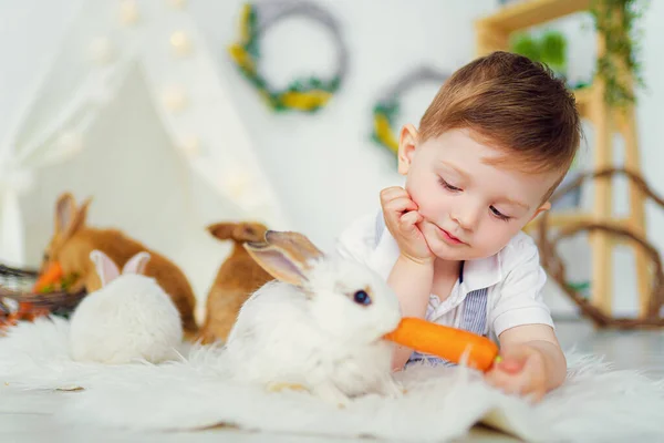 Χαρούμενο γελαστό αγοράκι που παίζει με ένα κουνελάκι, το ταΐζει, αγκαλιάζει πραγματικό κουνελάκι και μαθαίνει να φροντίζει ένα ζώο. — Φωτογραφία Αρχείου
