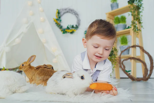 Happy laughing little boy playing with a baby rabbit, feeding it, hugging real bunny pet and learning to take care of an animal — Stock Photo, Image