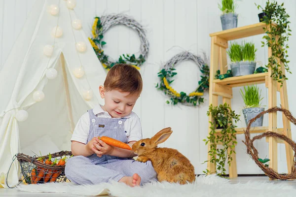 Feliz garotinho rindo brincando com um bebê coelho, alimentando-o, abraçando o verdadeiro coelho animal de estimação e aprendendo a cuidar de um animal — Fotografia de Stock