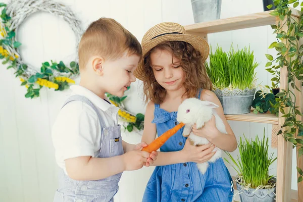 Щаслива дівчинка і хлопчик, що грає з кроликом, годує його, обіймає справжнього кролика і вчиться доглядати за твариною — стокове фото