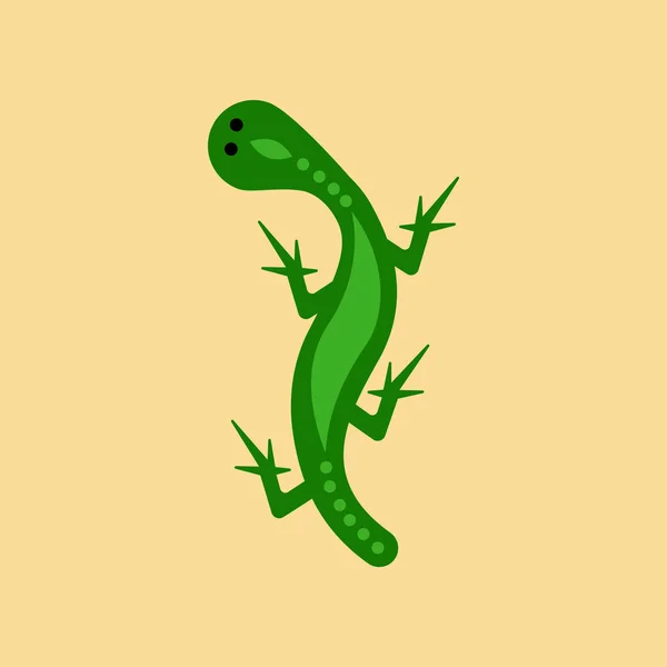 flat icon on background lizard reptile