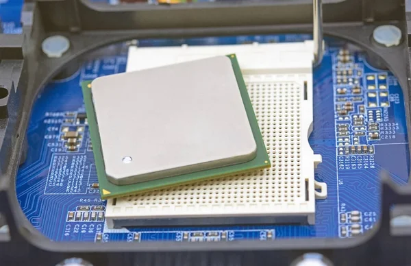 installation CPU on the socket of the computer motherboard