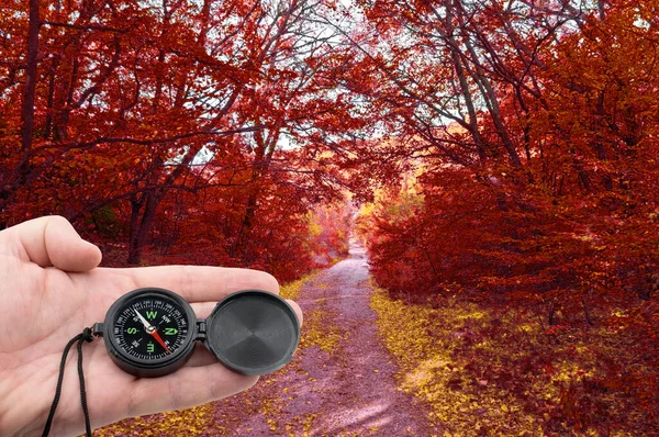 hand with compass on background autumn forest