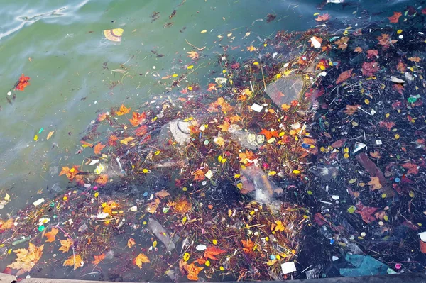 the garbage in the ocean sea water