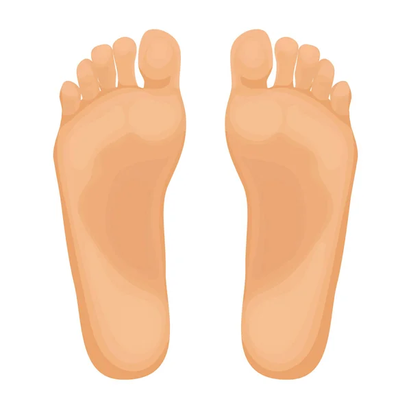 Illustrazione vettoriale piedi umani — Vettoriale Stock