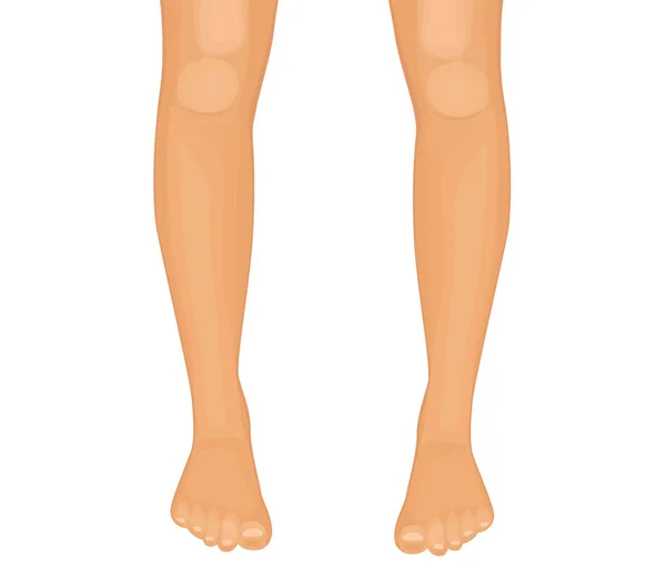 Human legs vector illustration — Stock Vector