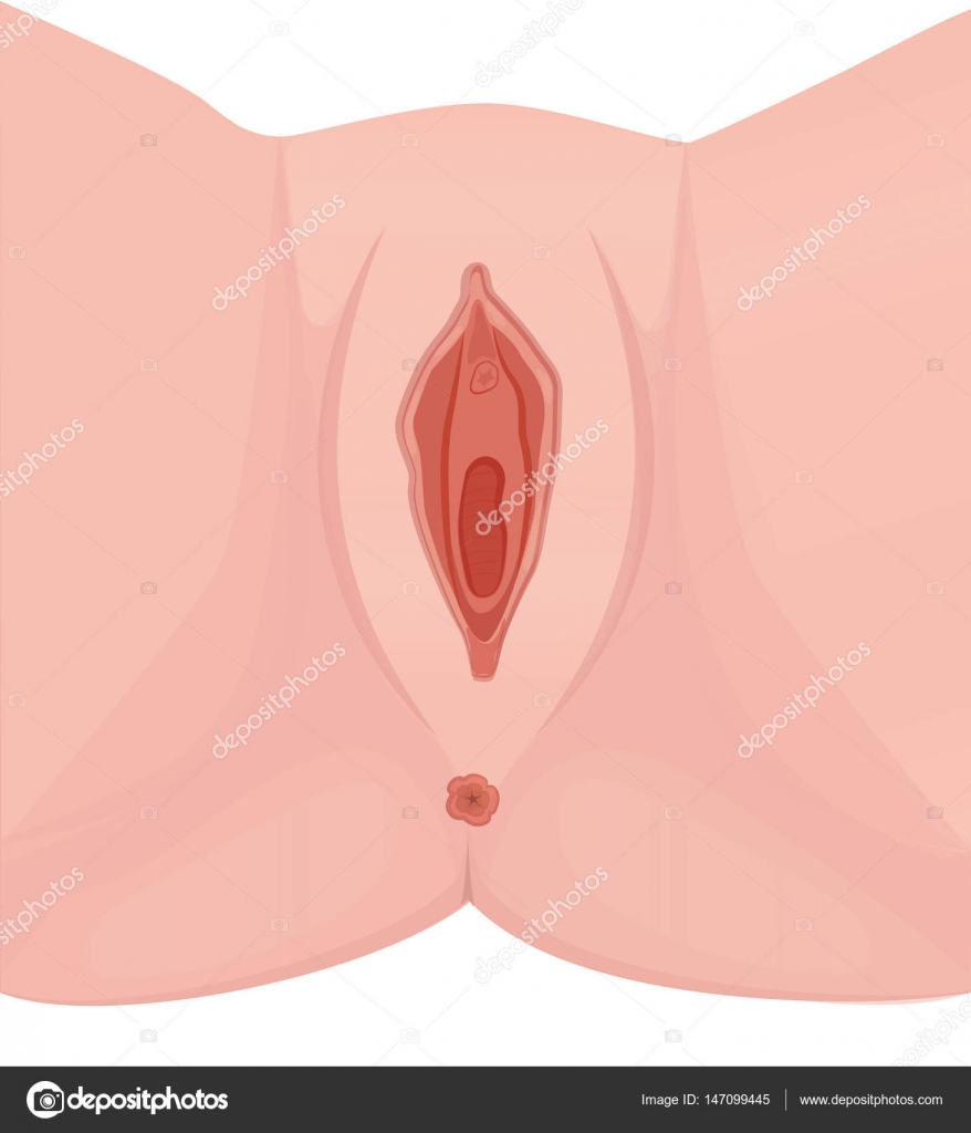 Vagina Video And Picture Free Download 22