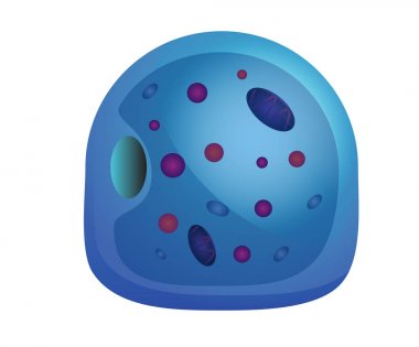 Human cell illustration clipart