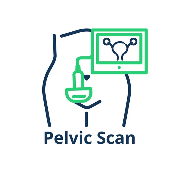 Pelvic scan icon. Illustration of the female tummy with ultrasou — Stock Vector