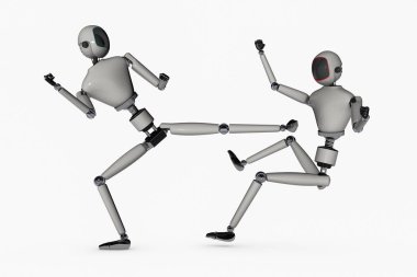 Bir dövüş robot