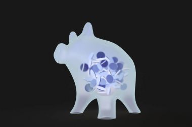 bir domuz x-ışınları ile aydınlatılmış