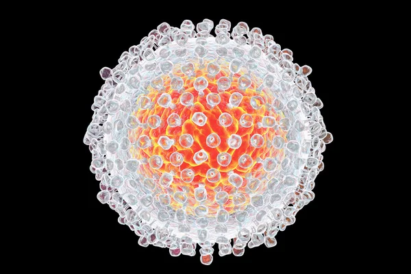 Illustration du virus de l'hépatite C — Photo