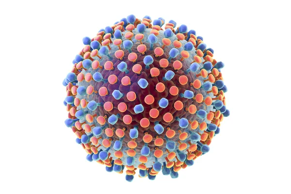 Hepatit C virüs illüstrasyon