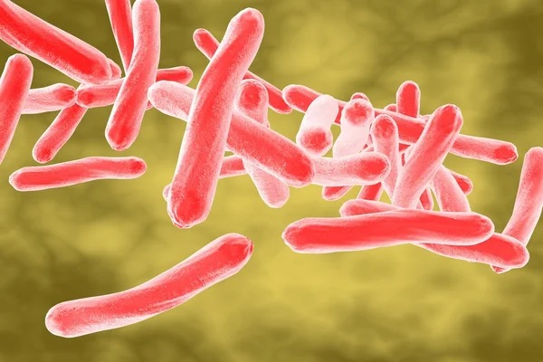 Bacterie Mycobacterium tuberculosis — Stockfoto
