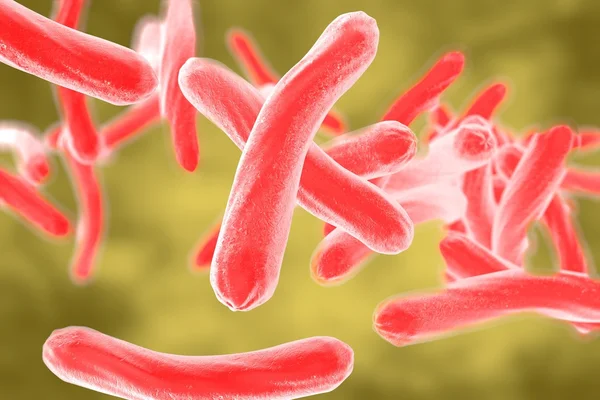 Бактерії мікобактерії туберкульозу — стокове фото