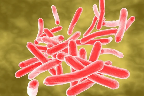Bacterias Mycobacterium tuberculosis — Foto de Stock