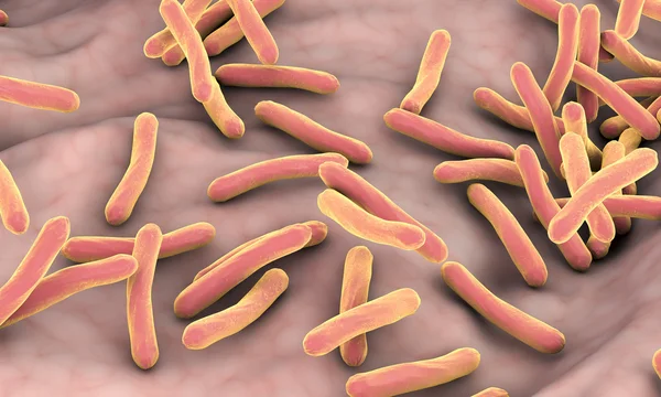 Bactérias Mycobacterium tuberculosis — Fotografia de Stock